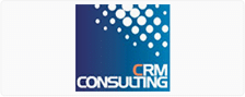crmconsulting